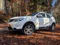 Nissan Qashqai Qashqai 1,6 dCi Tekna ALL-MODE 4x4i Tekna Weiß - thumbnail 4
