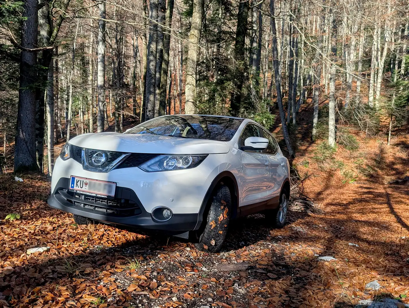 Nissan Qashqai Qashqai 1,6 dCi Tekna ALL-MODE 4x4i Tekna Weiß - 2