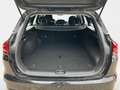 Kia Ceed SW / cee'd SW Ceed Sportswagon 1.6  Spirit ACC Navi FLA SpurH Чорний - thumbnail 14