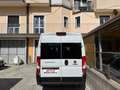 Fiat Ducato 2.3 MJT 140Cv 9 POSTI PANORAMA PULMINO Blanc - thumbnail 6