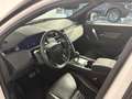 Land Rover Discovery Sport P200 AWD Aut. R-Dynamic SE Weiß - thumbnail 9