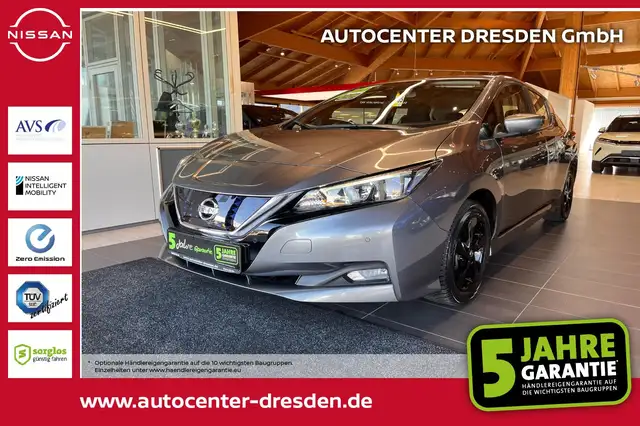 Nissan Leaf Acenta Winterp.+360Kamera+4xSHZ+WKR&SKR