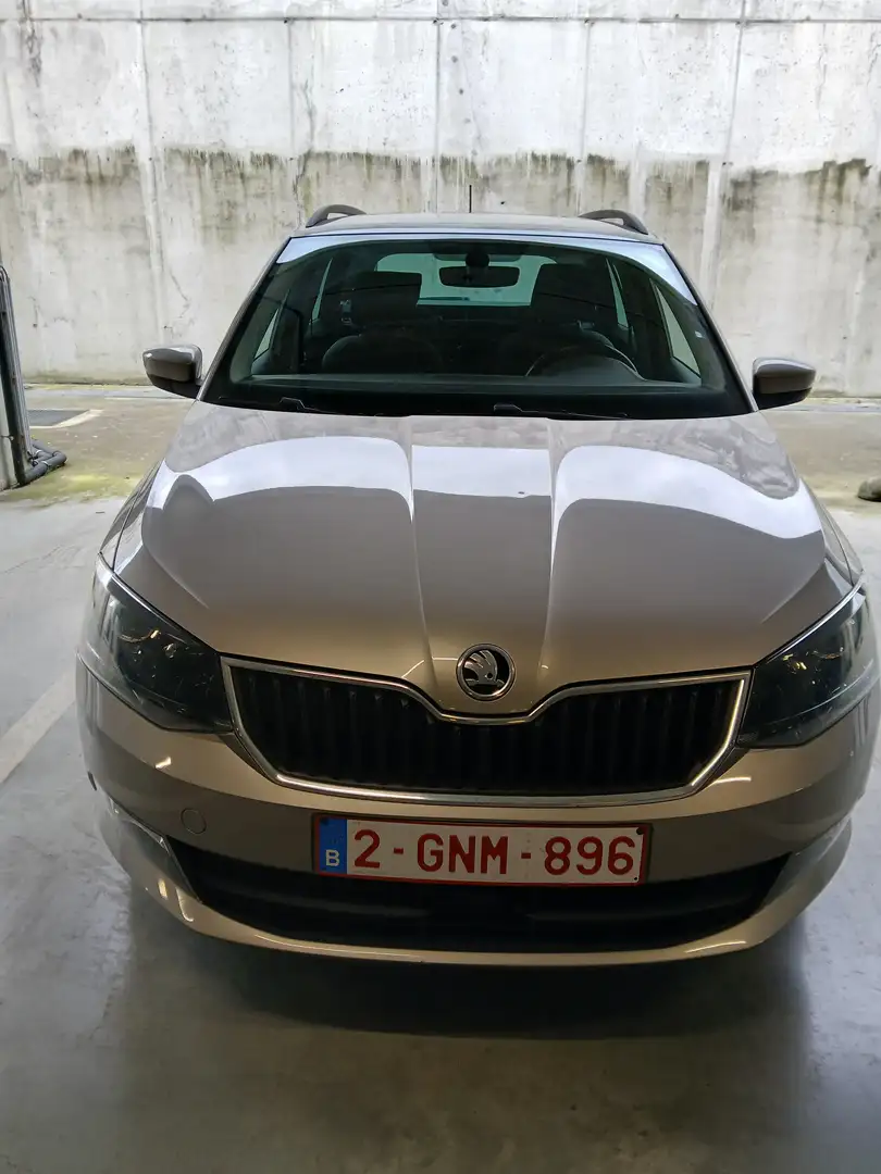 Skoda Fabia Fabia Combi 1.2 TSI DSG Monte Carlo Grijs - 1