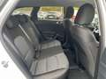 Kia cee'd Sporty Wagon Sportswagon Vision AHK UNFALLFR Wit - thumbnail 28
