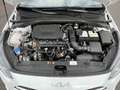 Kia cee'd Sporty Wagon Sportswagon Vision AHK UNFALLFR Wit - thumbnail 43
