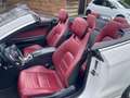 Mercedes-Benz E 400 Cabrio Edition Sport-333pk-Leer-Camera-AMG line- Biały - thumbnail 24
