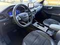 Ford Kuga 2.5 Full Hybrid 190 CV CVT AWD ST-Line X Grau - thumbnail 10