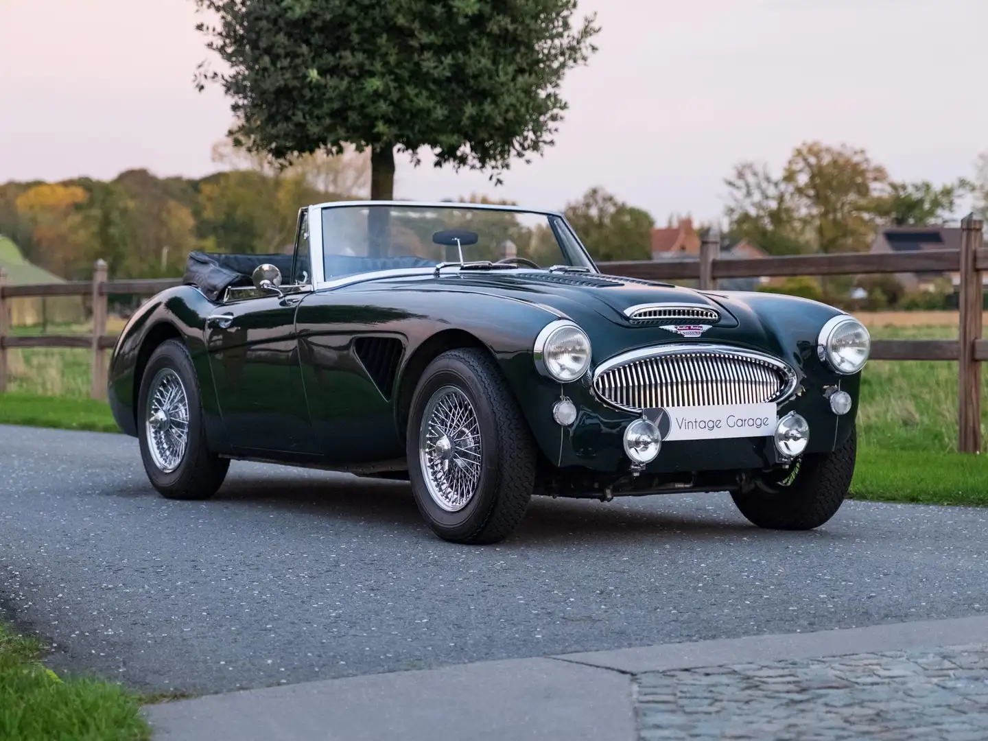 Austin-Healey 3000 Austin-Healey 3000 Groen - 2