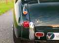 Austin-Healey 3000 Austin-Healey 3000 Groen - thumbnail 10