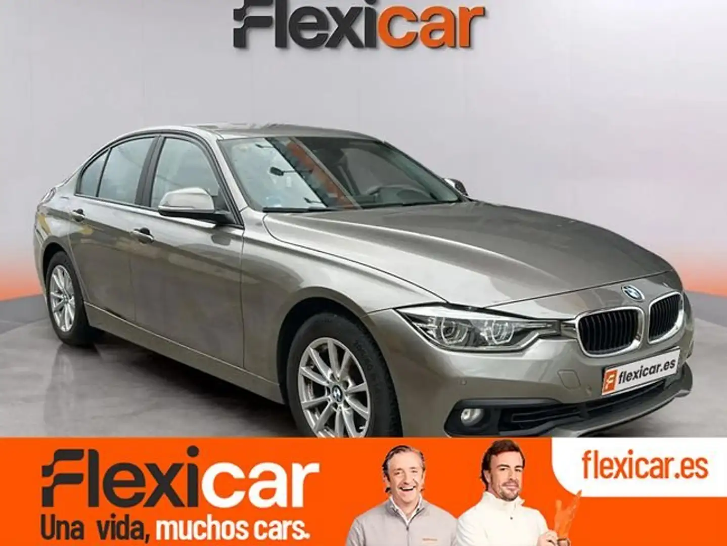 BMW 318 318i Bruin - 1