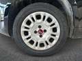 Fiat Panda 1.2 Easy Nero - thumbnail 9