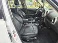 MINI Cooper S Countryman Mini Countryman R60 1.6 all4 Bianco - thumbnail 13