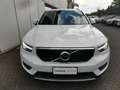 Volvo XC40 XC40 1.5 t3 Business Plus geartronic my20 Bianco - thumbnail 2