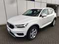 Volvo XC40 XC40 1.5 t3 Business Plus geartronic my20 Bianco - thumbnail 1