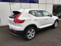 Volvo XC40 XC40 1.5 t3 Business Plus geartronic my20 Bianco - thumbnail 5