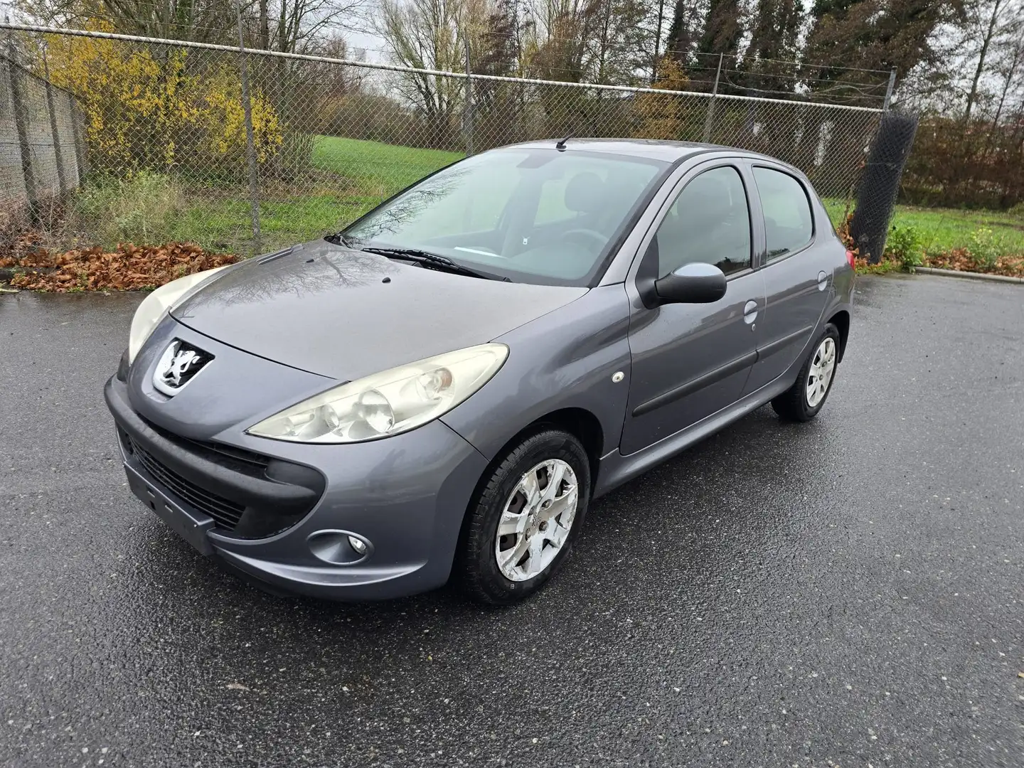 Peugeot 206 206+ 75 Argent - 1