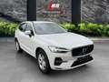 Volvo XC60 B4 B Geartronic Momentum Pro - thumbnail 20
