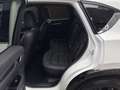 Mazda CX-5 194PS Homura AT+AWD 360°+ACAA+LEDER+KLIMA+MRCC+NAV Wit - thumbnail 8