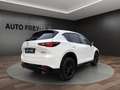 Mazda CX-5 194PS Homura AT+AWD 360°+ACAA+LEDER+KLIMA+MRCC+NAV Wit - thumbnail 3