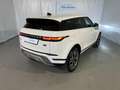 Land Rover Range Rover Evoque 2.0D I4-L.Flw 150 CV AWD Auto SE UNICO PROPR. Bianco - thumbnail 3