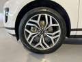 Land Rover Range Rover Evoque 2.0D I4-L.Flw 150 CV AWD Auto SE UNICO PROPR. Bianco - thumbnail 6