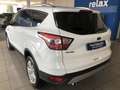 Ford Kuga Nuevo   1.5 EcoB. Auto S&S Trend+ 4x2 120 - thumbnail 5