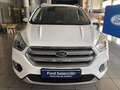 Ford Kuga Nuevo   1.5 EcoB. Auto S&S Trend+ 4x2 120 - thumbnail 2