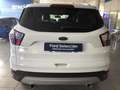 Ford Kuga Nuevo   1.5 EcoB. Auto S&S Trend+ 4x2 120 - thumbnail 6