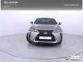 Lexus UX 250h 2.0 Business Grau - thumbnail 6