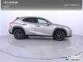 Lexus UX 250h 2.0 Business Grau - thumbnail 25