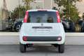 Fiat Panda FIAT PANDA 4x4 VAN 2 POSTI BENZINA Blanc - thumbnail 5