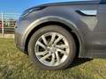 Land Rover Discovery 3.0 TDV6 249 CV HSE Grau - thumbnail 7
