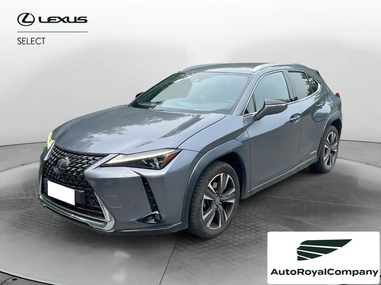 Lexus UX 250h
