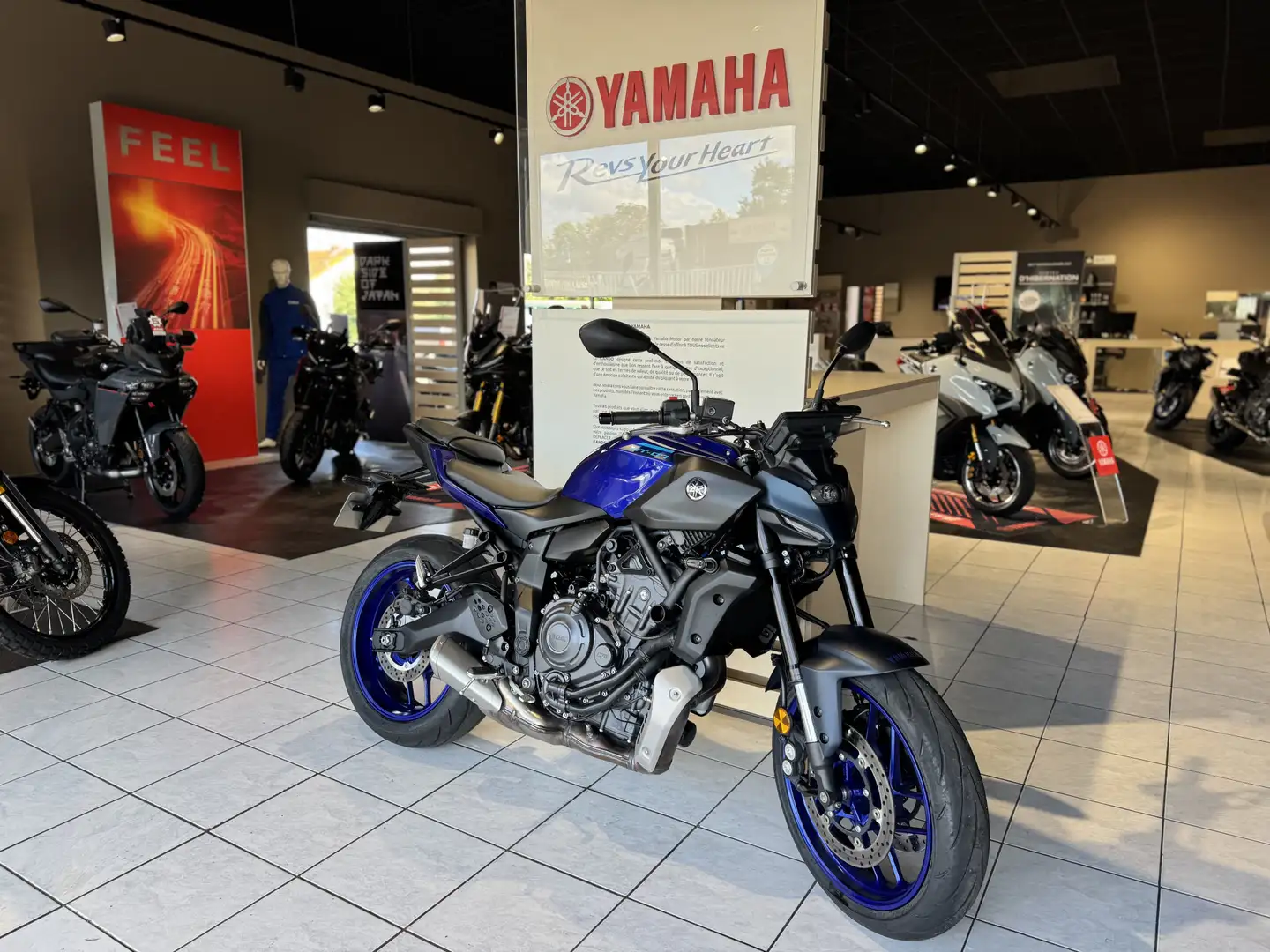 Yamaha MT-07 Blau - 2