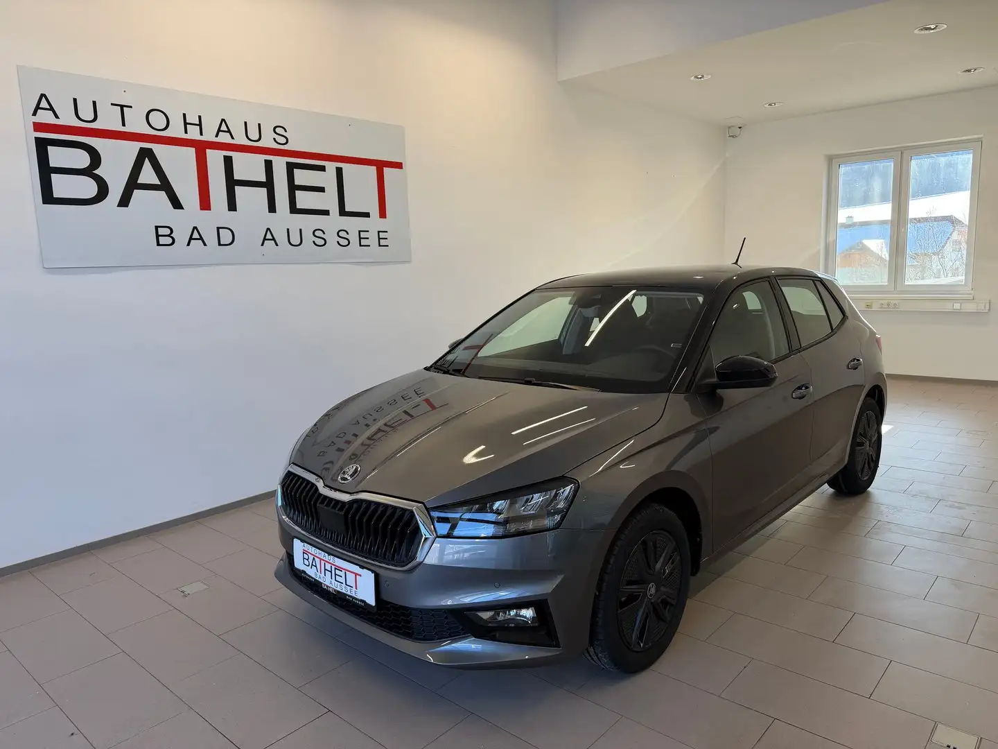 Skoda Fabia Selection Grau - 1