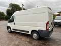 Fiat Ducato 2.3 MJT 130 CV MH2 / PM-TM Bianco - thumbnail 6