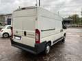 Fiat Ducato 2.3 MJT 130 CV MH2 / PM-TM Bianco - thumbnail 8