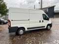 Fiat Ducato 2.3 MJT 130 CV MH2 / PM-TM Bianco - thumbnail 9