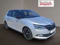 Skoda Fabia Monte Carlo Silber - thumbnail 17
