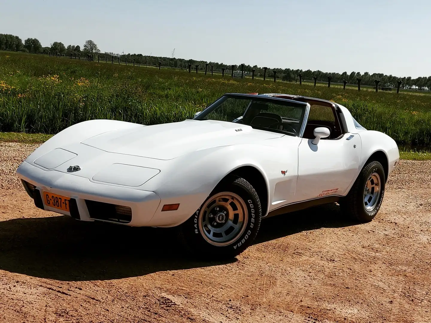 Chevrolet Corvette C3 25th anniversary Wit - 1