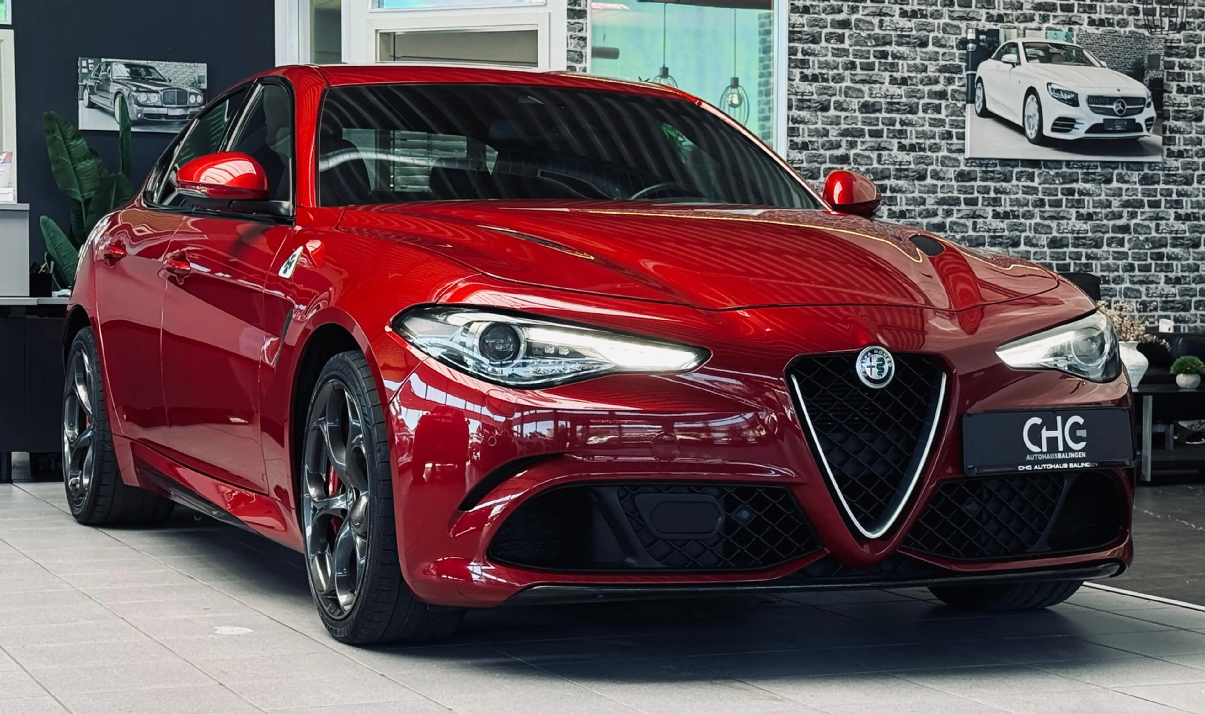 Alfa Romeo Giulia Quadrifoglio |Kamera|H&K|Carbon|