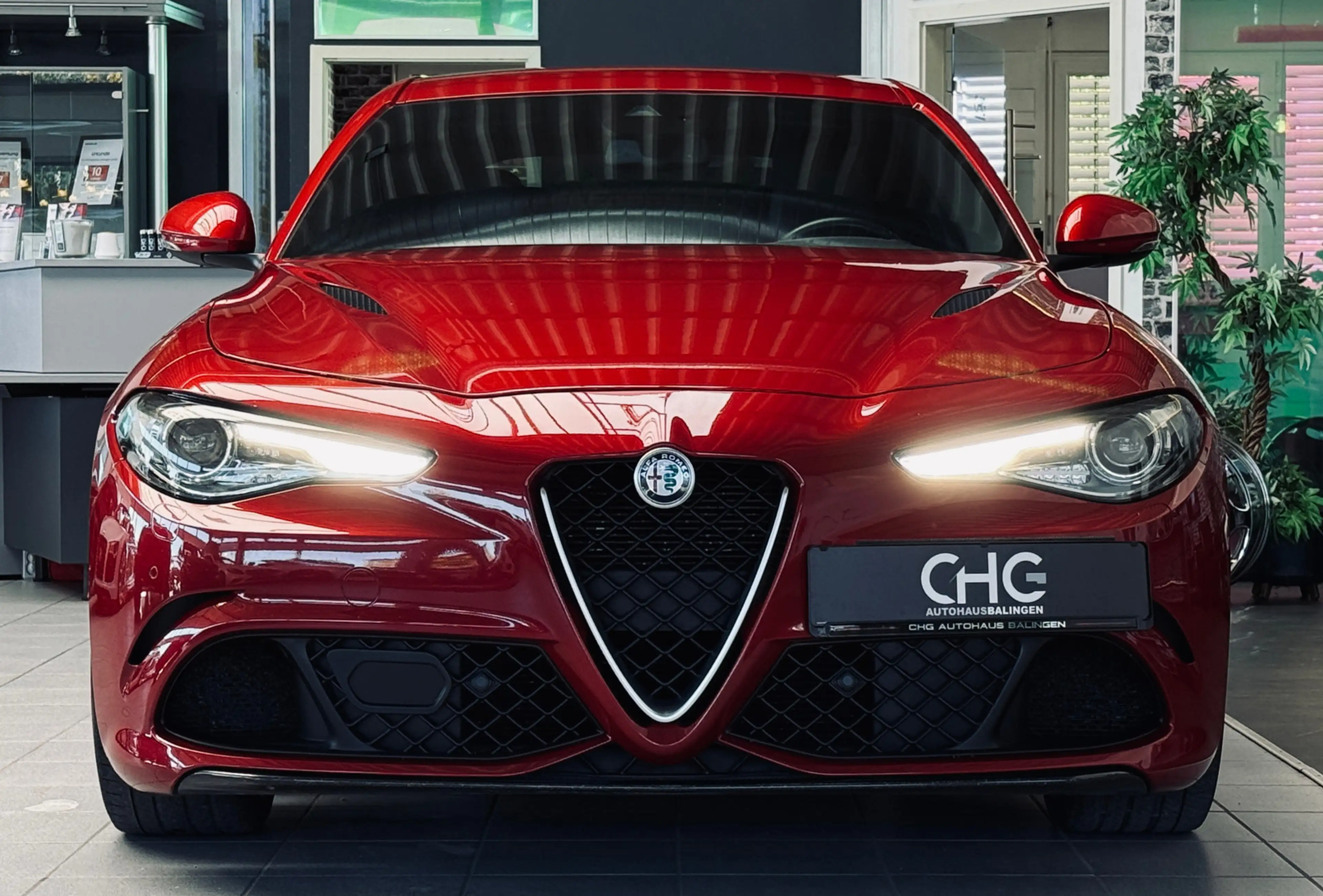 Alfa Romeo Giulia Quadrifoglio |Kamera|H&K|Carbon| — photo 2