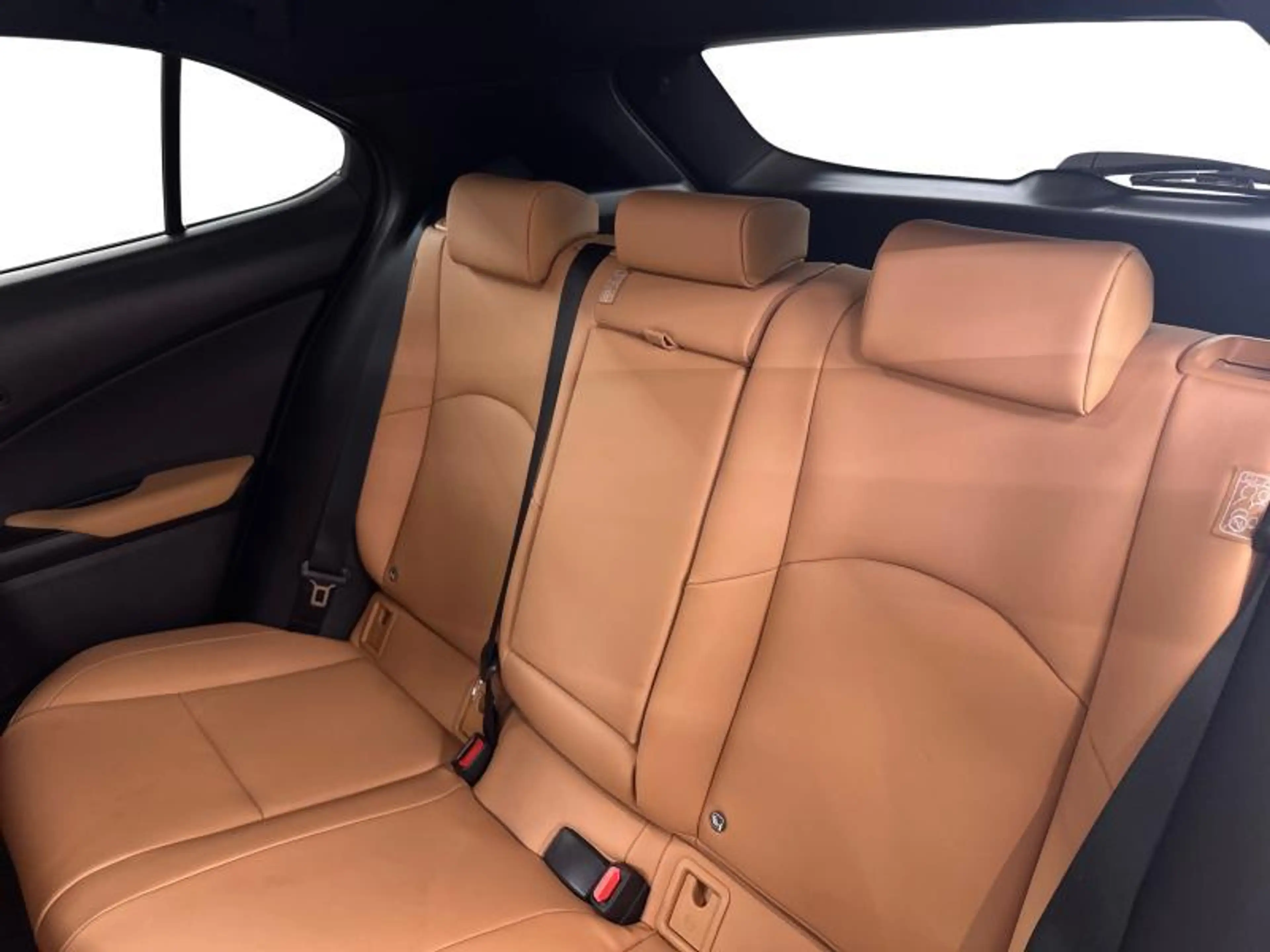Lexus UX 250h F Sport Design BiTone 184pk + Winter Pack — photo 12
