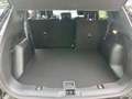 Ford Kuga Titanium Fahrer-Assistenz-Paket 360 Kamera  Apple Noir - thumbnail 5