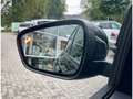 Ford Kuga Titanium Fahrer-Assistenz-Paket 360 Kamera  Apple Noir - thumbnail 13