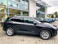 Ford Kuga Titanium Fahrer-Assistenz-Paket 360 Kamera  Apple Noir - thumbnail 3