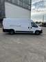 Fiat Ducato Ducato Maxi 35 L4H3 140 - thumbnail 6
