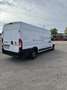 Fiat Ducato Ducato Maxi 35 L4H3 140 - thumbnail 5