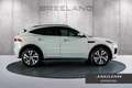 Jaguar E-Pace P300e R-Dynamic SE | 20" | Panoramadak Grijs - thumbnail 6