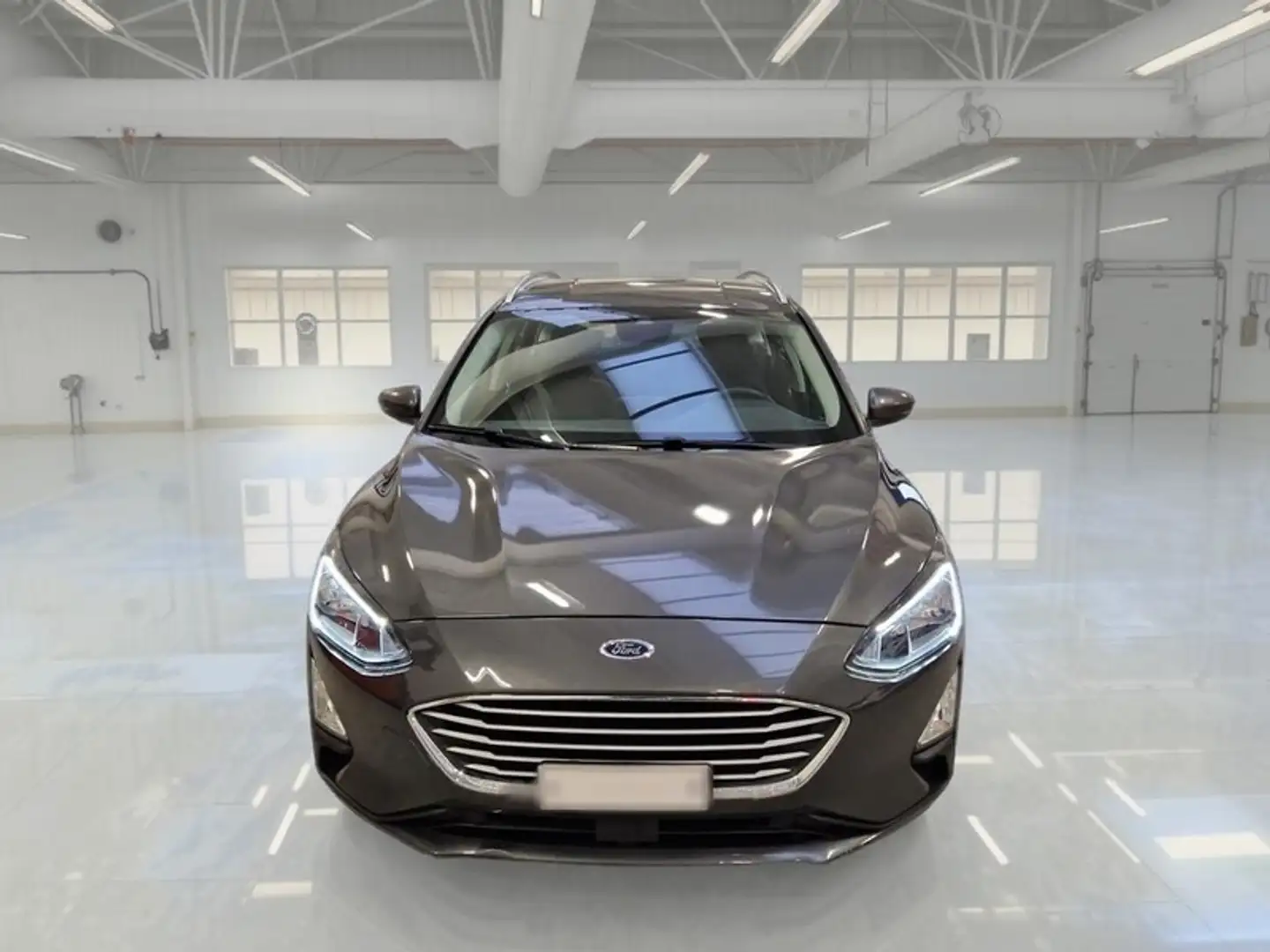 Ford Focus WAGON 1.5 Ecoblue 120cv Business Co-Pilot Auto - 2